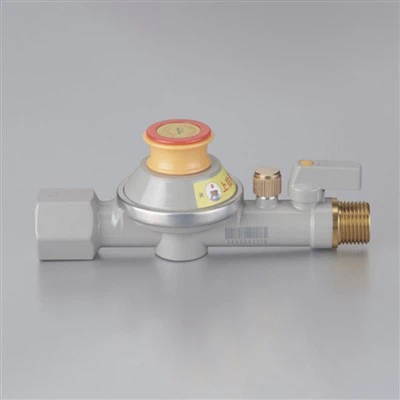 Combination Gas Valve